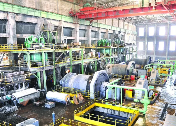 Lithium-Ore-Beneficiation-Plant